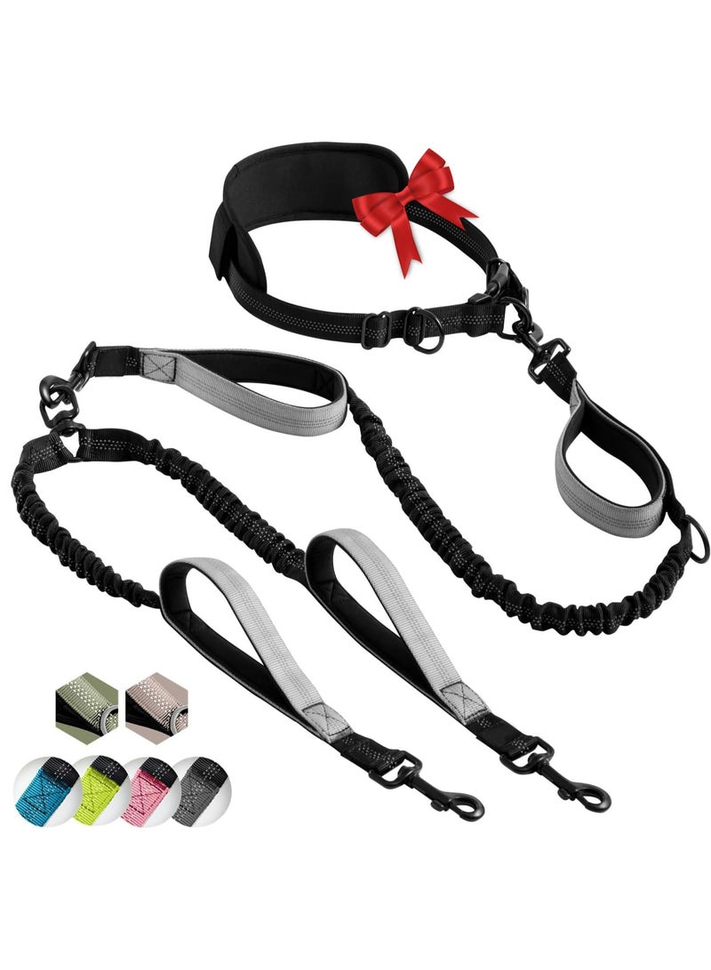 KISSUN Hands Free Double Dog Leash – Dual Dog Leash for Medium and Large Dogs – Dog Leash for 2 Dogs with Padded Handles, Reflective Sches, No Pull, Tangle Free - Image 1